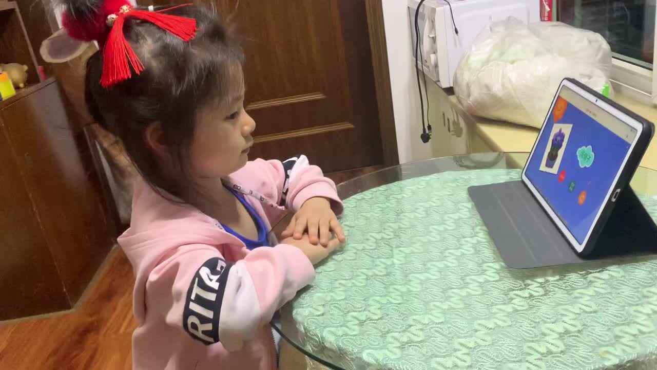 2022.4.21闯关练习观看视频《认识花卉2》