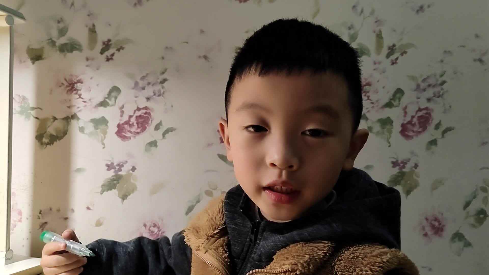 手工制作猫头鹰.mp4