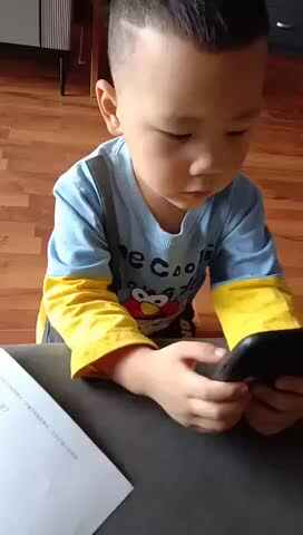 观看视频《拉萨布达拉宫》