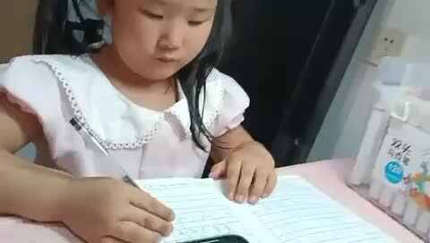 学习古诗《归雁》