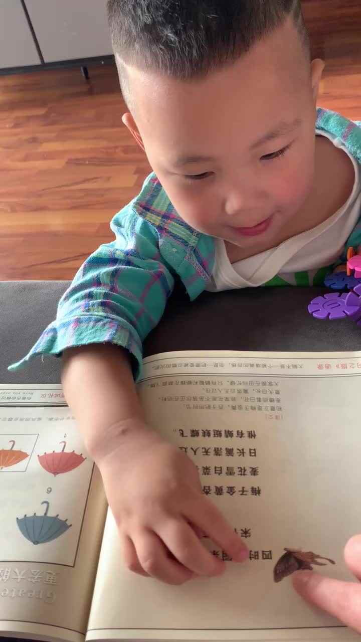 四时田园杂兴