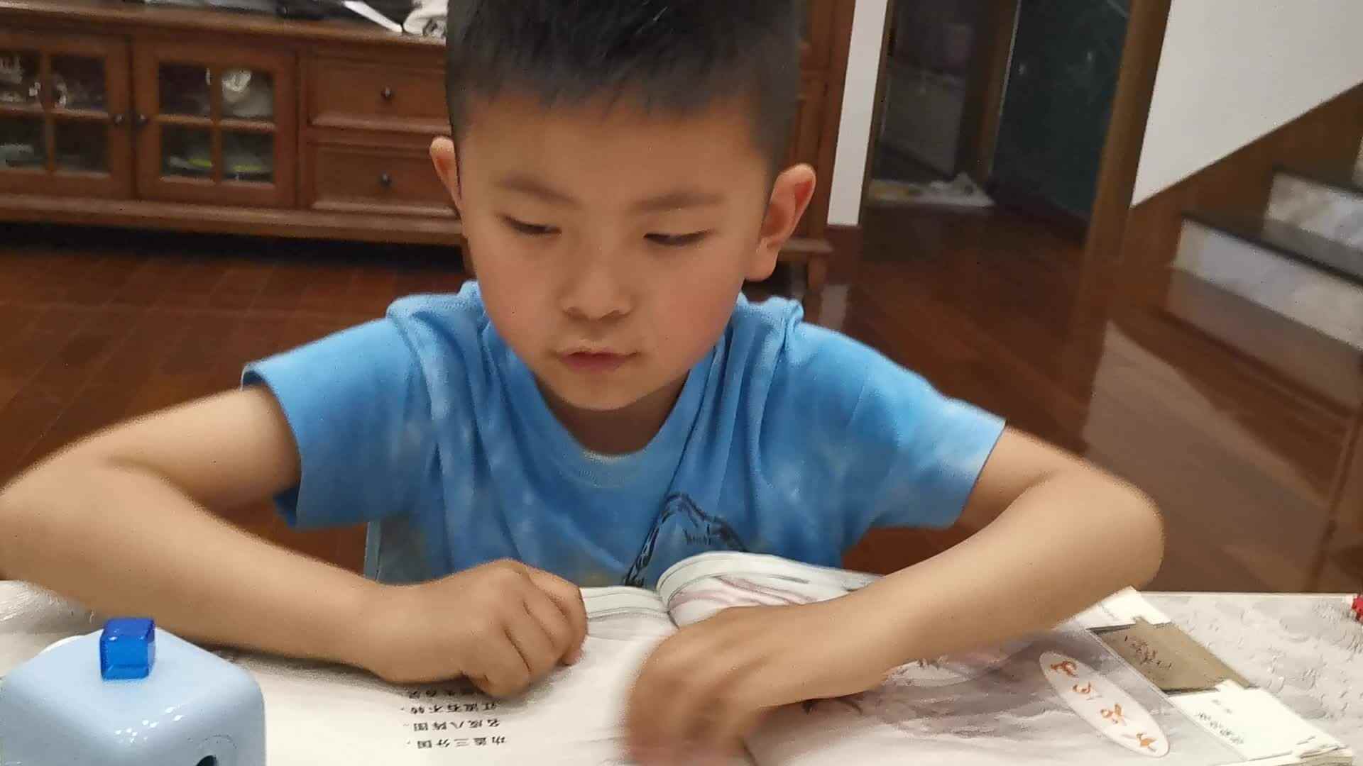 指读古诗八阵图.mp4