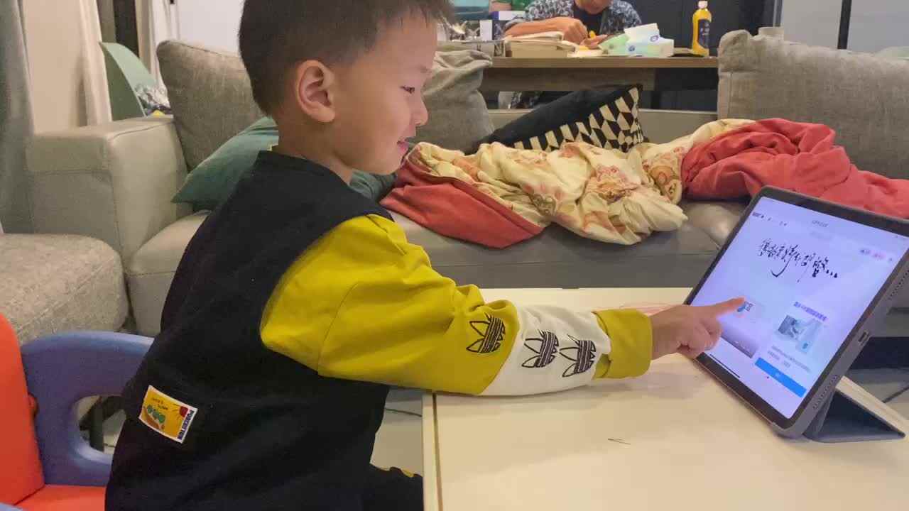 观看布达拉宫.MOV