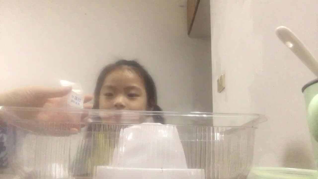 2022.5.17科学实验《火山爆发》
