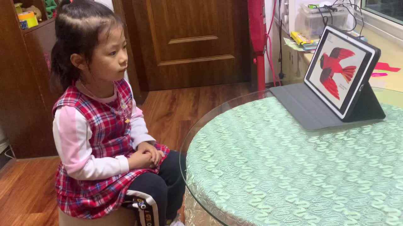 2022.5.27闯关练习观看英文绘本《棕熊，棕熊，你看到了什么》