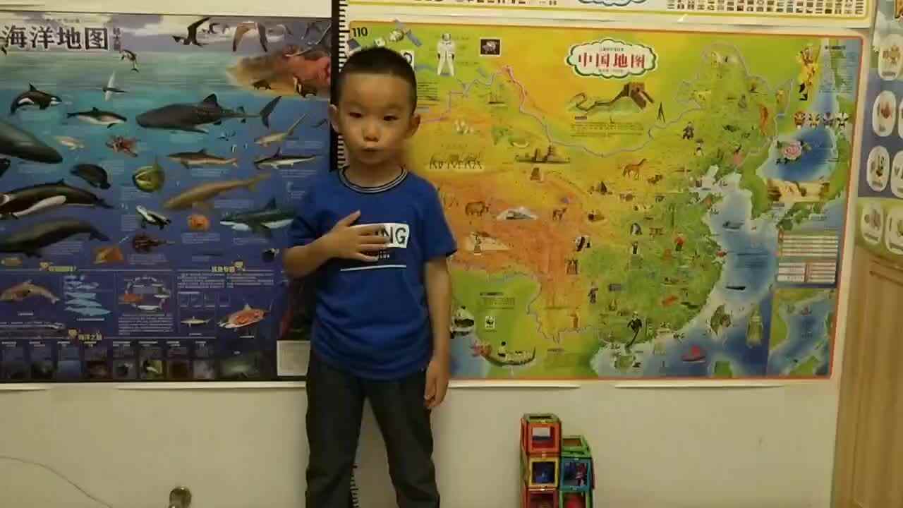 【寻找生活中的中心对称】mp4