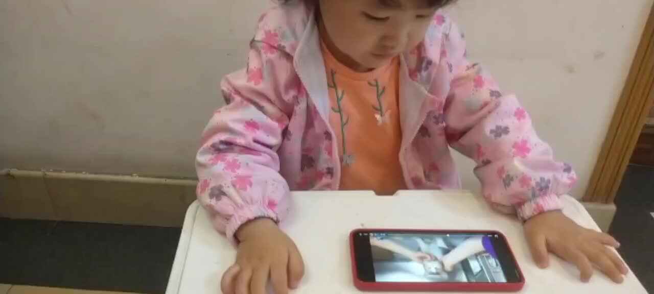 罗一:动物收容所