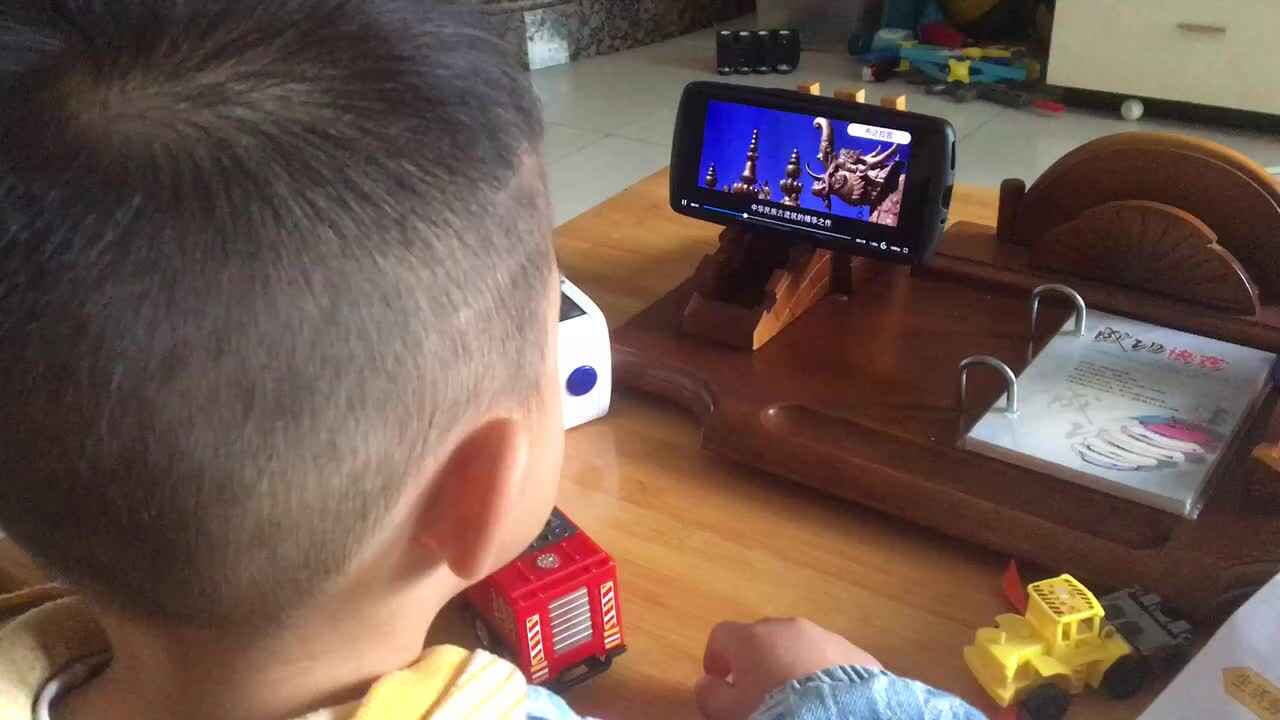 秦一鸣观看布达拉宫