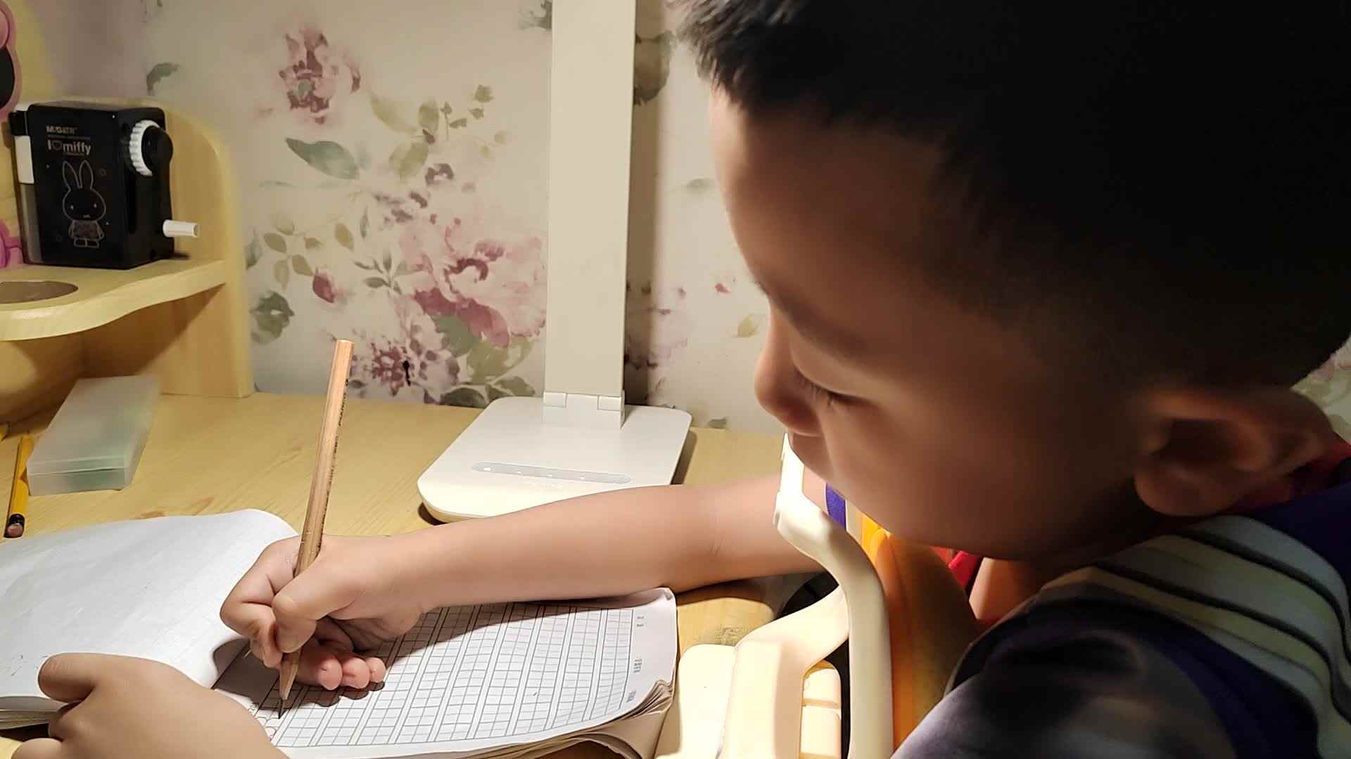 书写数字33.mp4