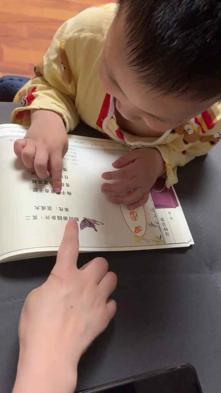 四时田园杂兴