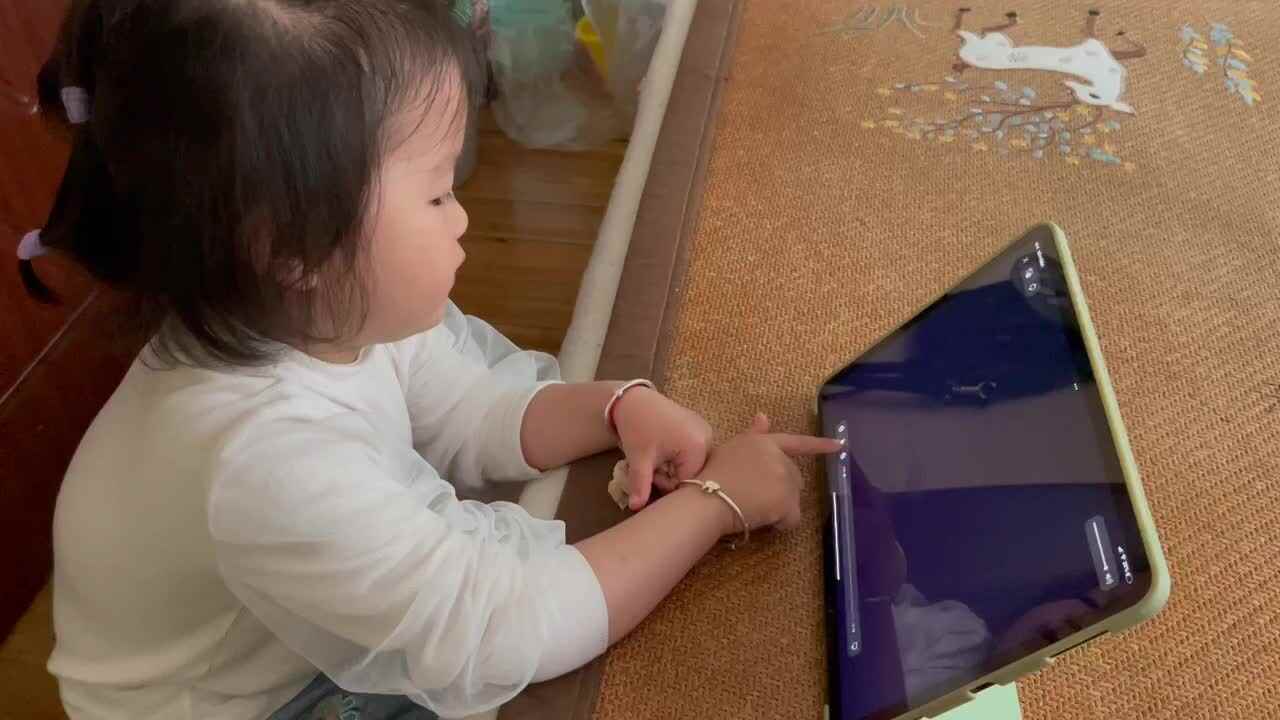 《拉萨布达拉宫》
