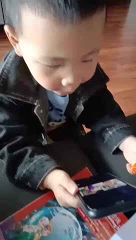 观看视频《动物收容所》