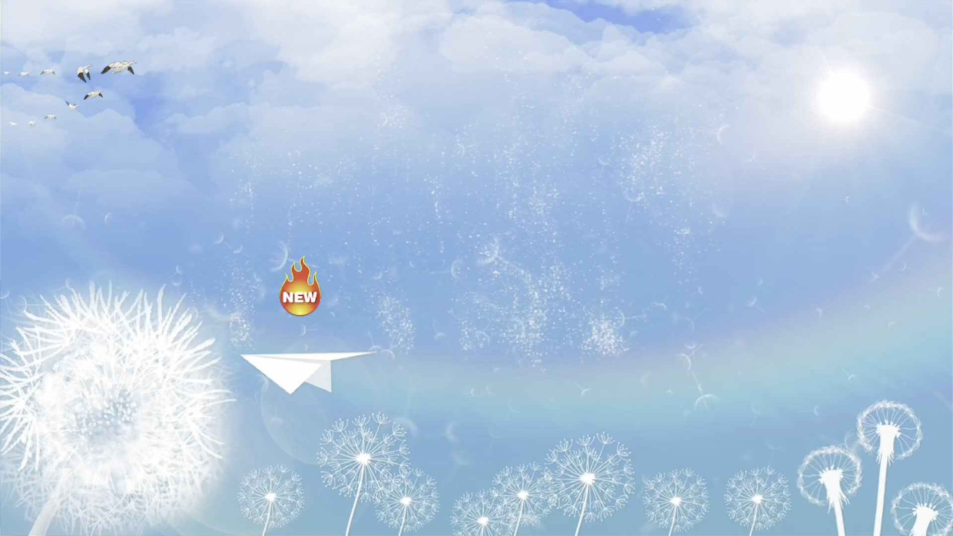 写字小课堂