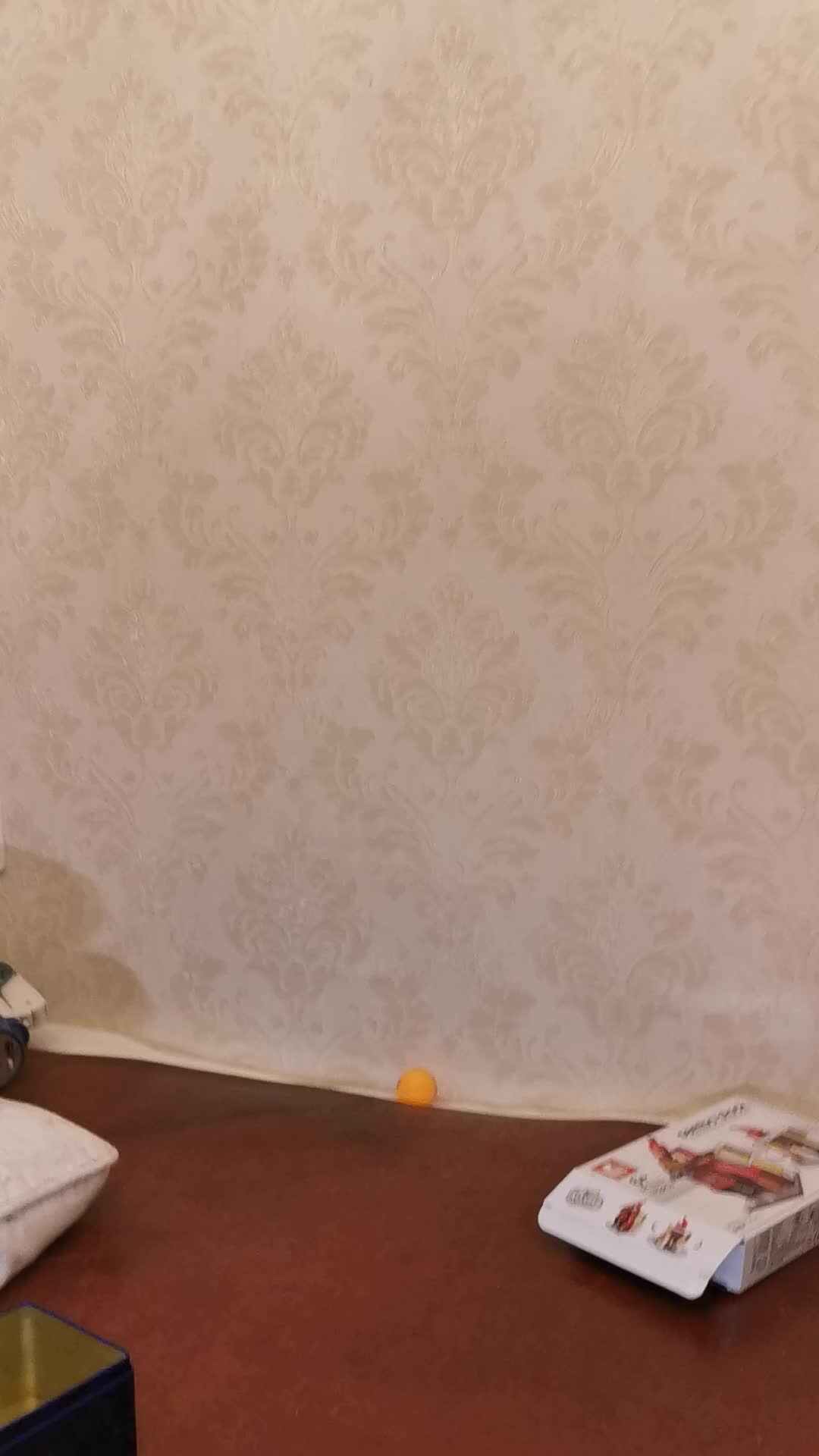 童骏洋