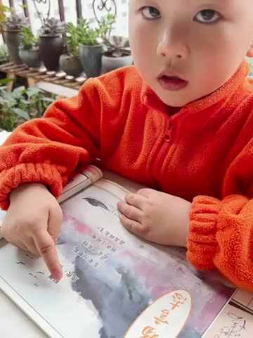 tri中B班丶李北洋  （归雁）-412E-AD78-F83F4799987D.MOV