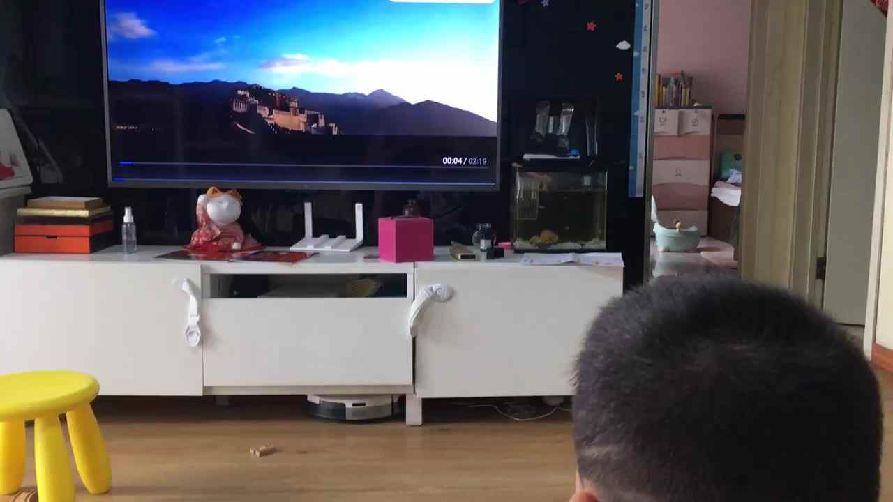 20220605小A班郭睿珩-观看布达拉宫.mp4