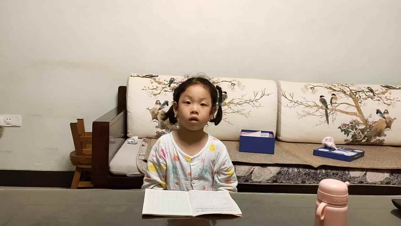 数字55、56.mp4