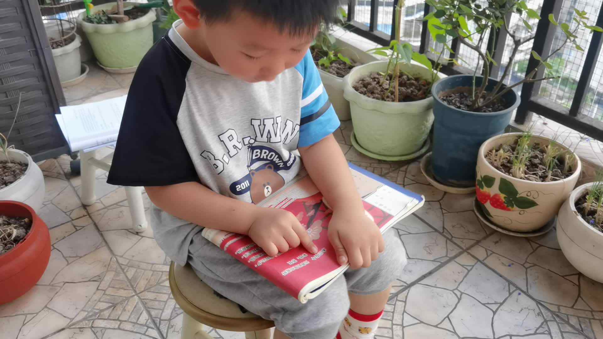 读古诗 木兰花令 元宵似是欢游好.mp4