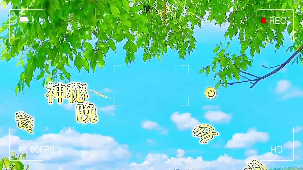 神奇美妙的晚餐——李穆清
