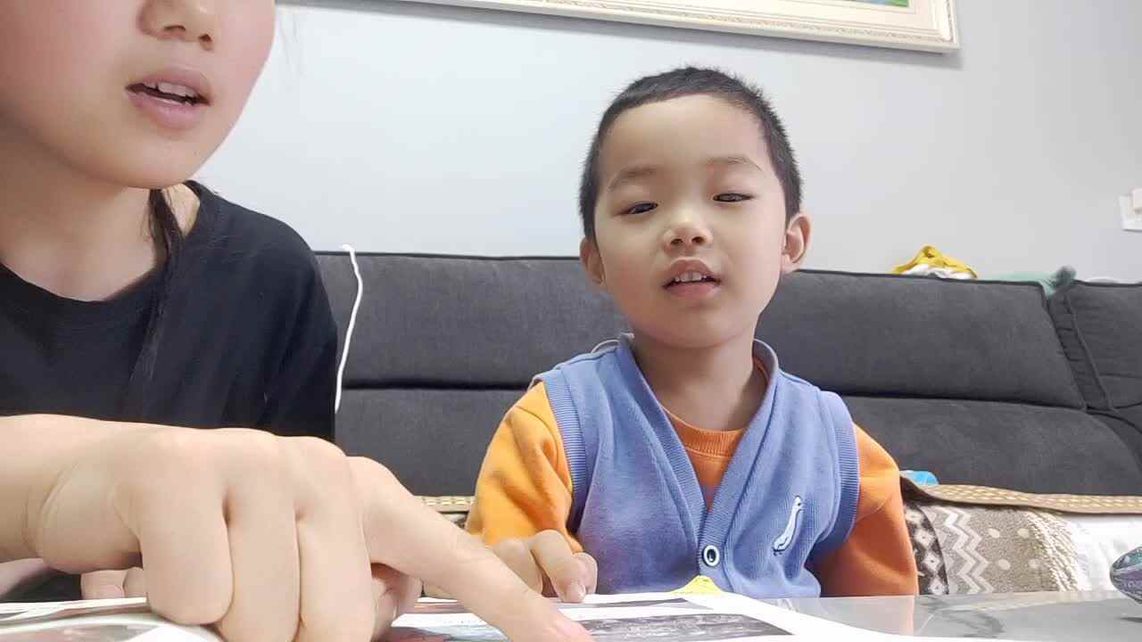 VID20220612183552.mp4