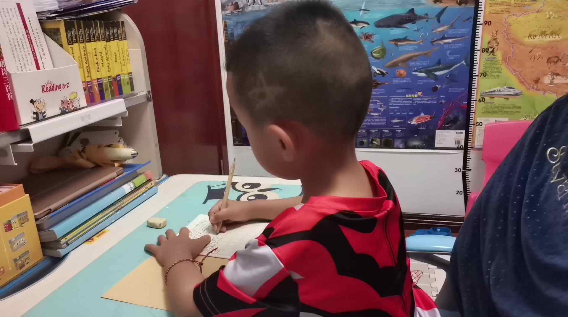 《书写数字52》.mp4