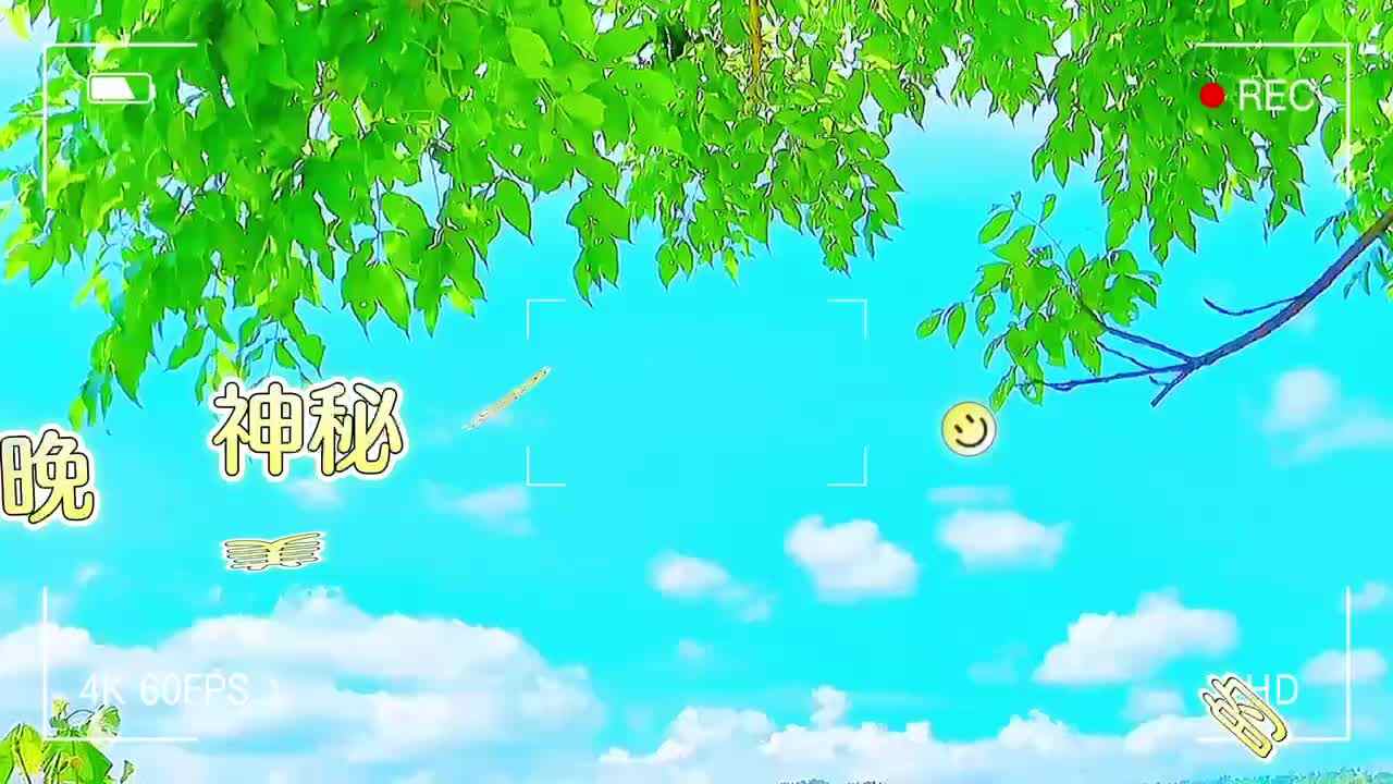 神奇美妙的晚餐——李穆清