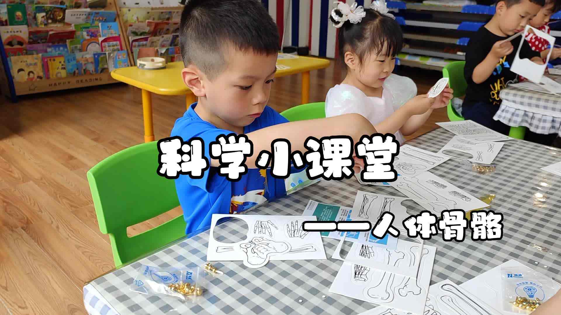 人体骨骼.mp4
