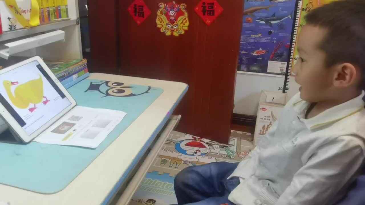 《棕熊你看了什么》.mp4