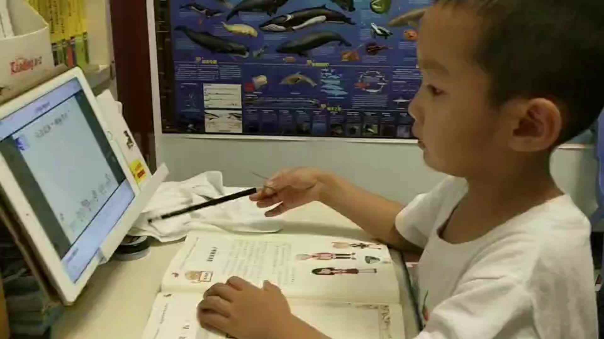 《笔画要点歌》.mp4