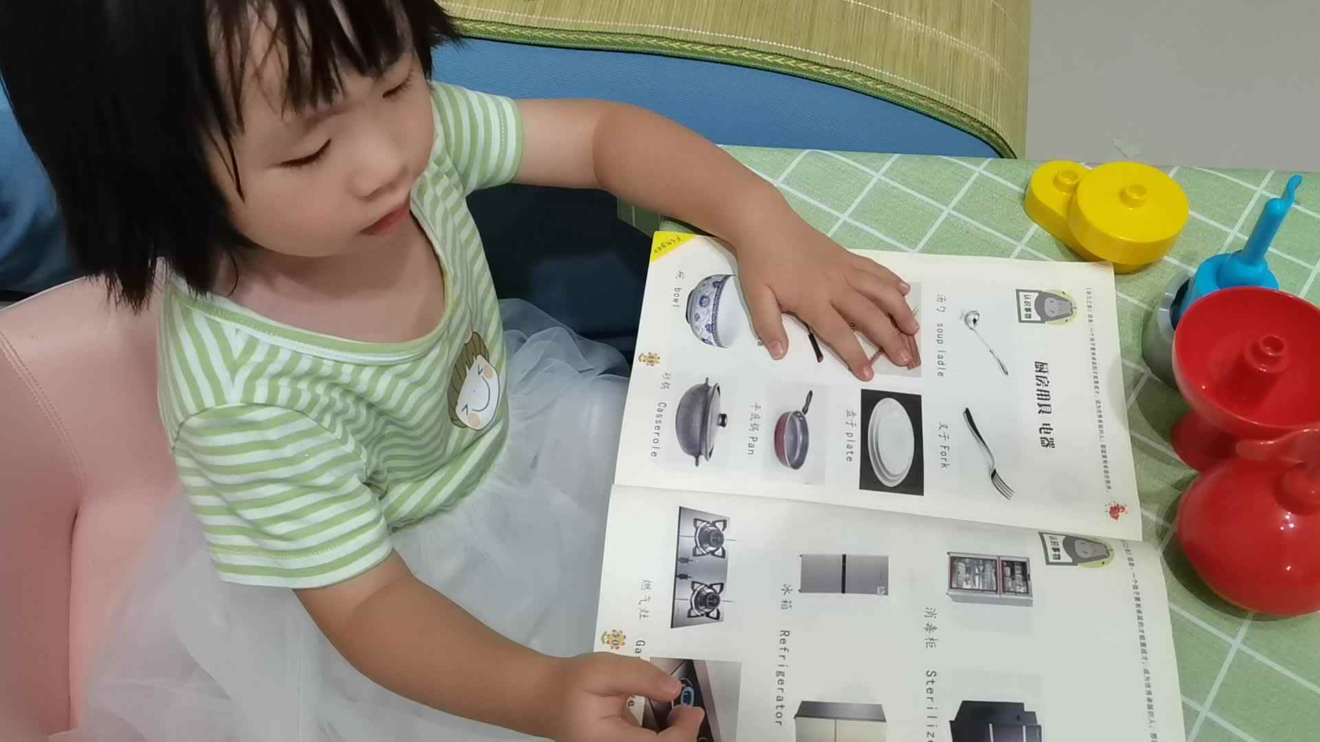认识电器.mp4