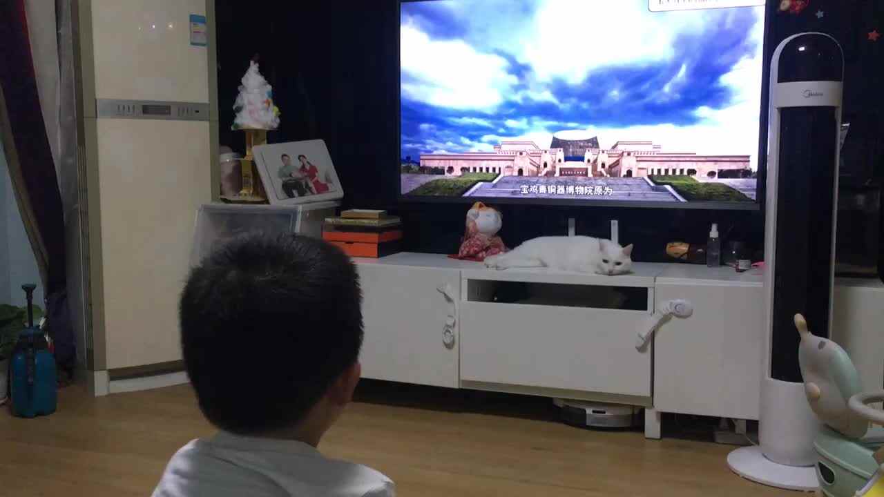 20220702小A班郭睿珩-观看宝鸡青铜博物馆.mp4
