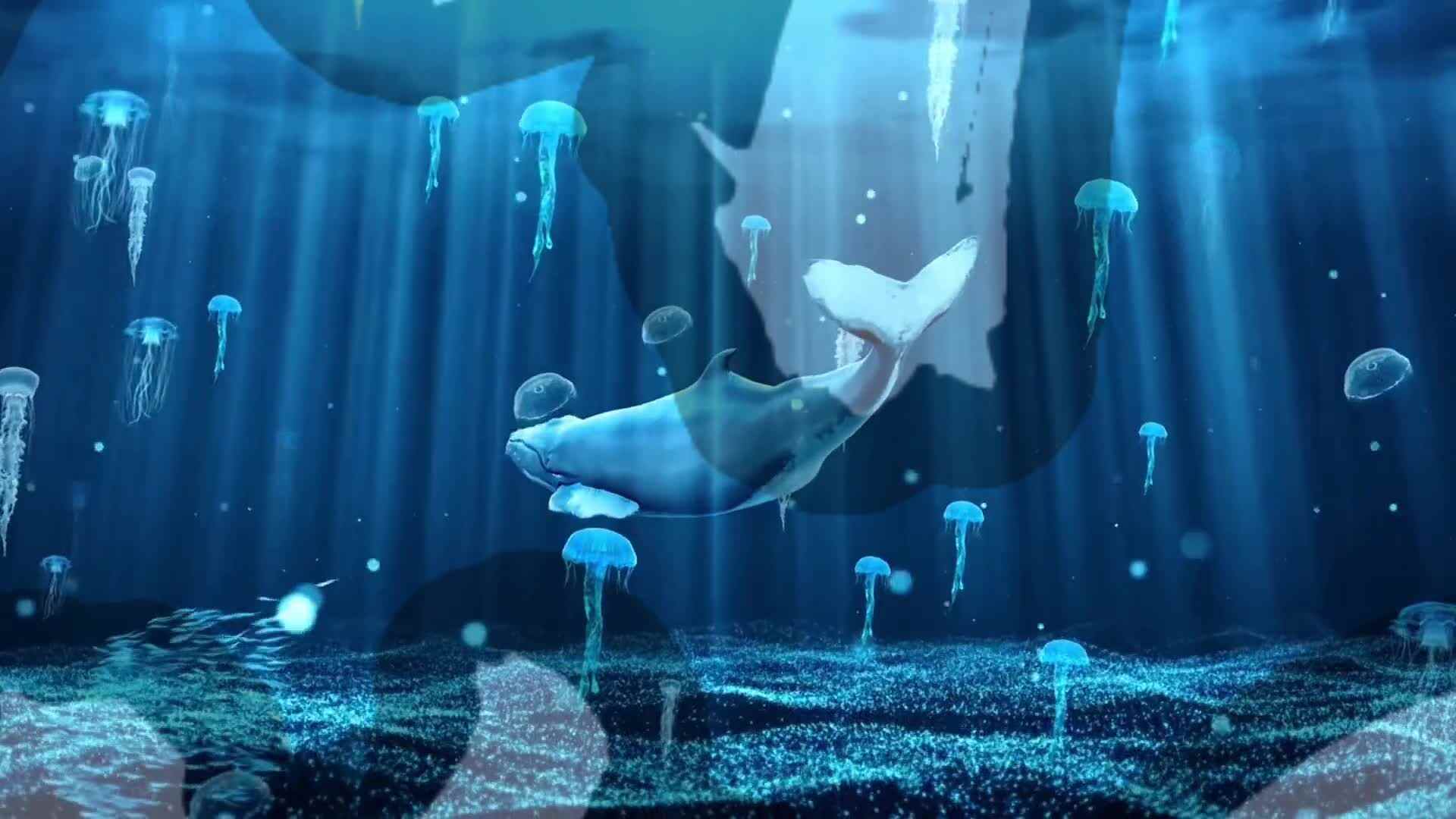 金豆子毕业典礼