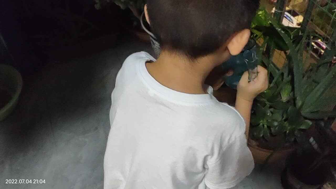 VID20220704210444.mp4