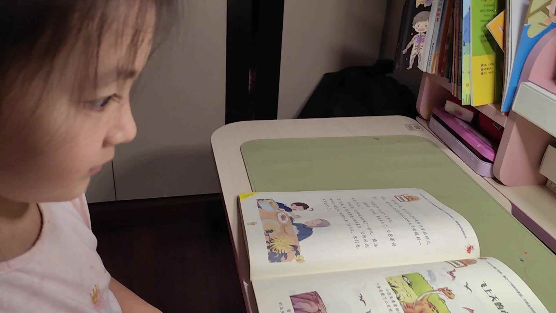 指读《飞上天的小恐龙》