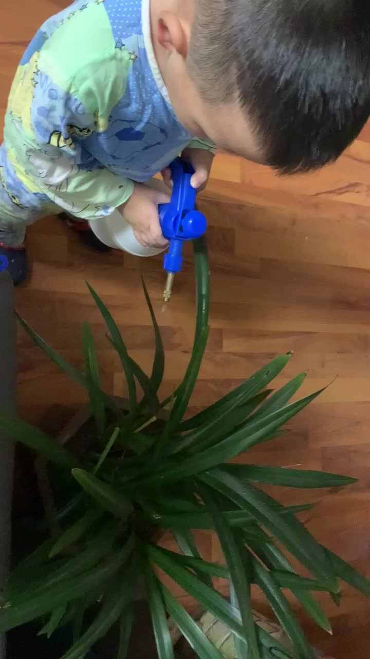 给植物浇水