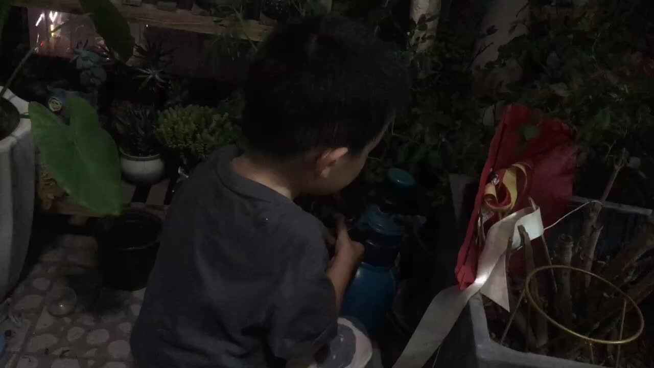 20220704小A班郭睿珩-浇花.mp4