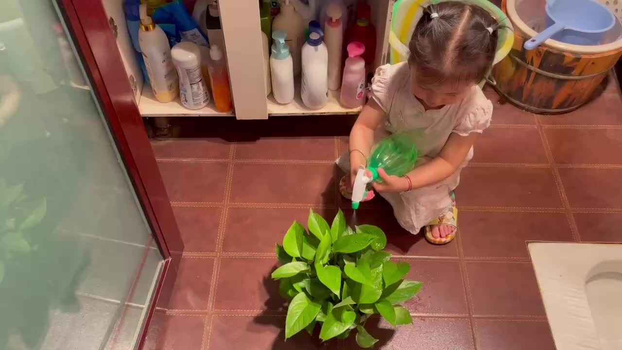 给植物浇水