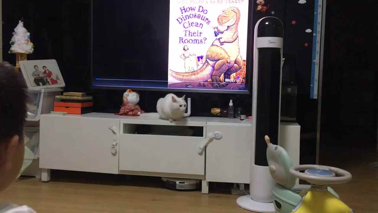 20220702小A班郭睿珩-观看How Do Dinosaurs Clean Their Rooms.mp4