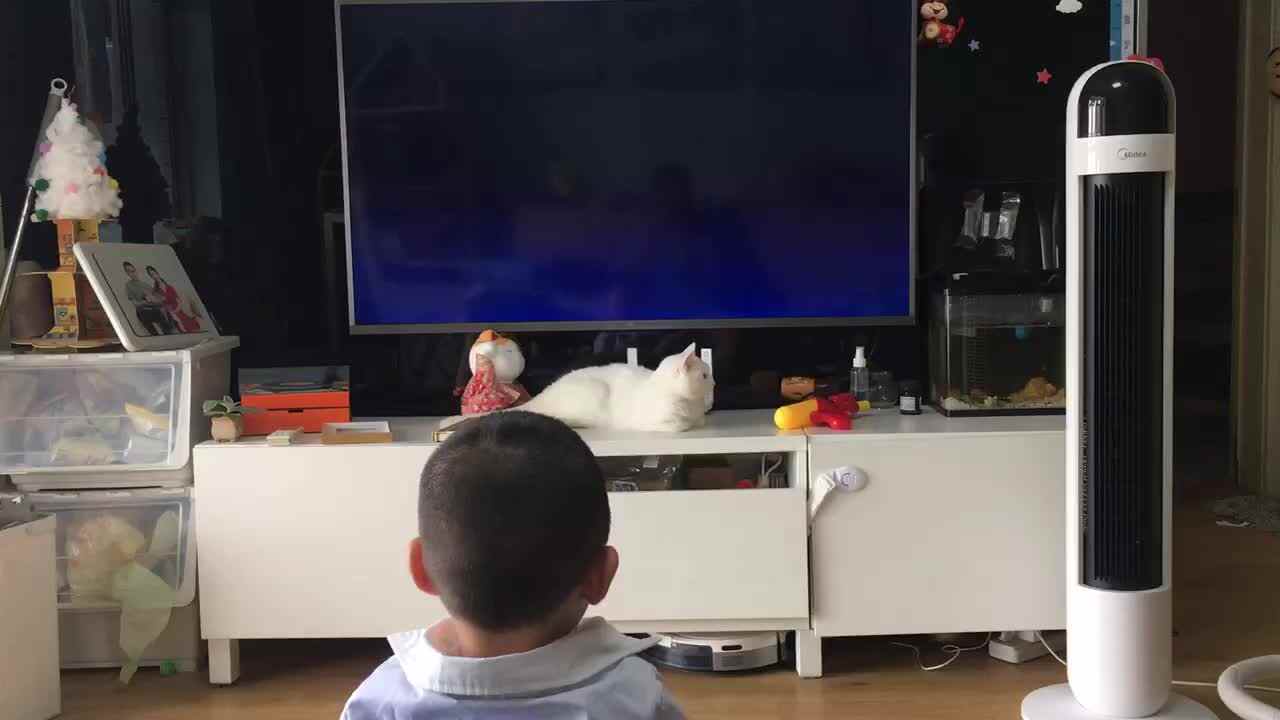 20220716小A班郭睿珩-观看宝鸡青铜博物馆.mp4