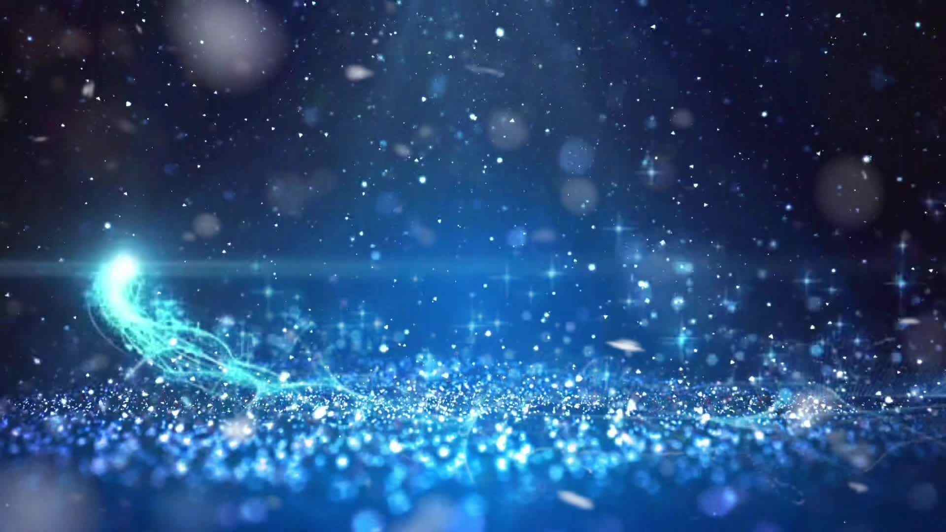 “海洋奇缘”