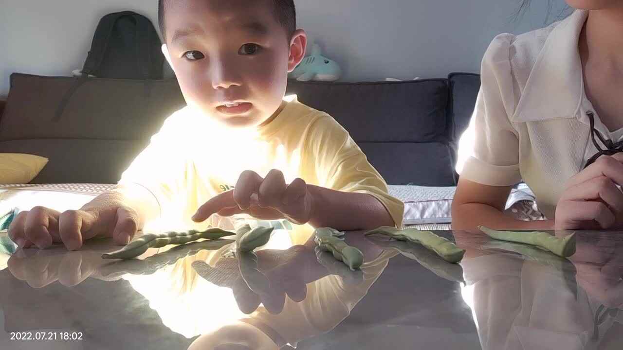 VID20220721180252.mp4