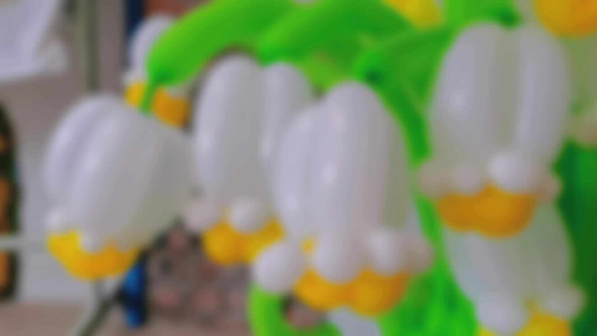 4月5月6月金豆子员工集体生日会