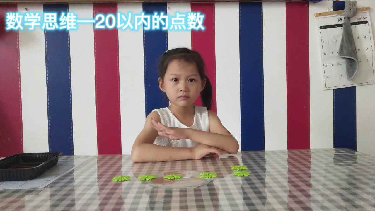 金豆子综合测评: 数学思维ーー栾青宁