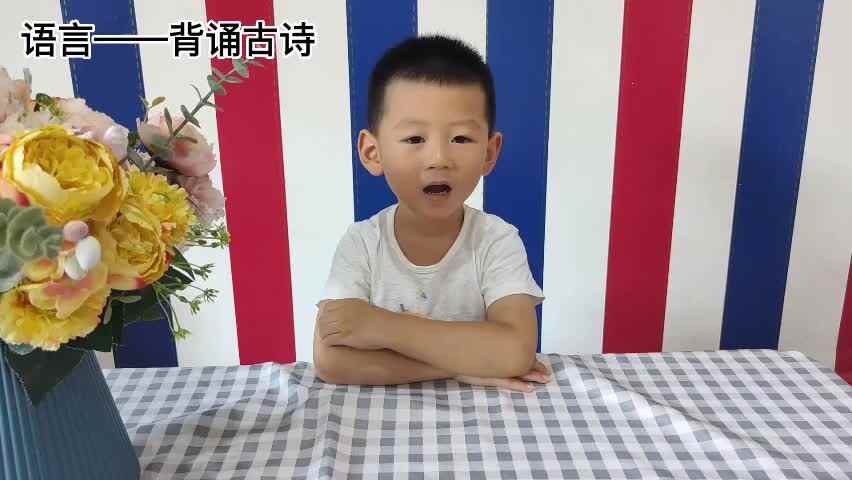 金豆子综合测评：语言、礼仪——雷锦谦