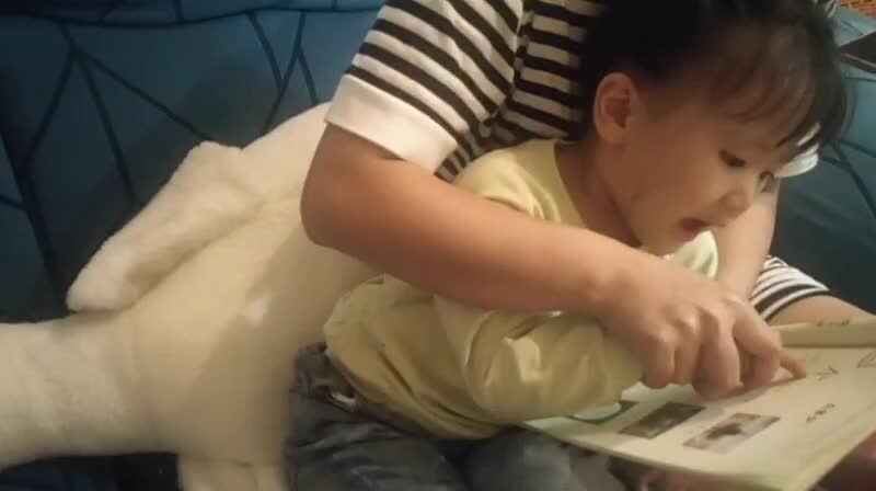 罗一:认识量词
