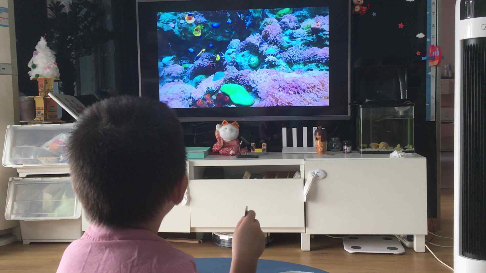 20220917中A班郭睿珩-观看上海海昌海洋公园.MP4