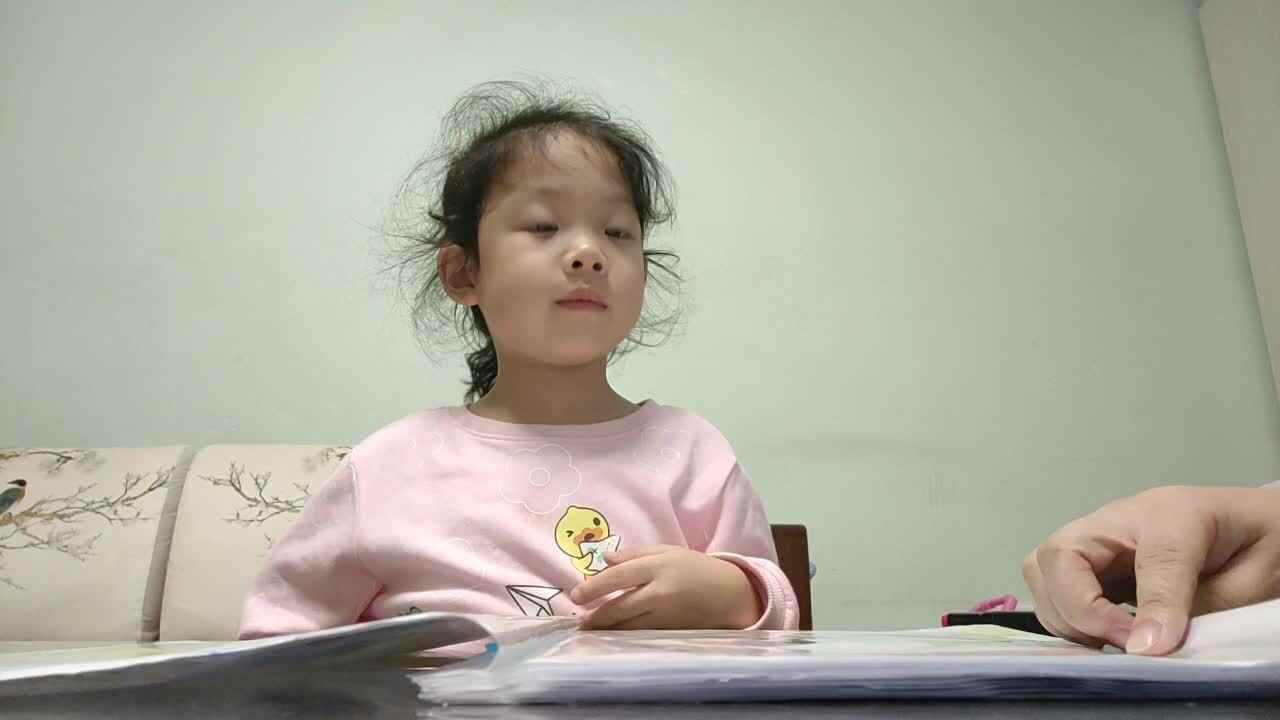 复习单韵母a、o、e、i、u、ǖ.mp4