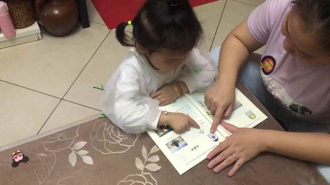 指读量词“个、只、篇、片、朵、行、组、张”