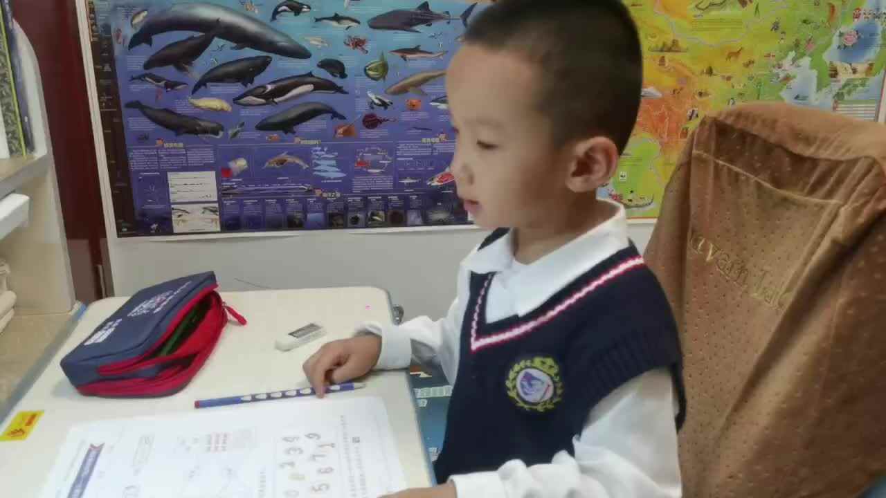 .数学-10以内的单双数