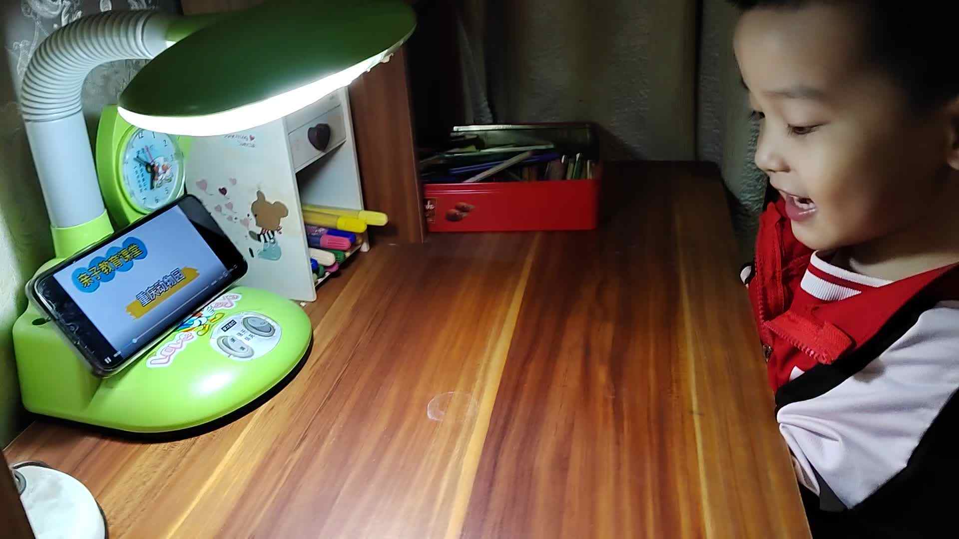 VID_20221024_180936.mp4